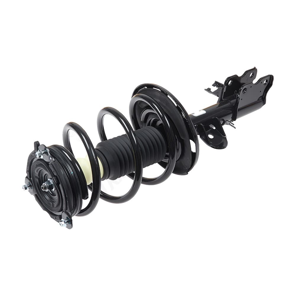 Complete Strut V11488