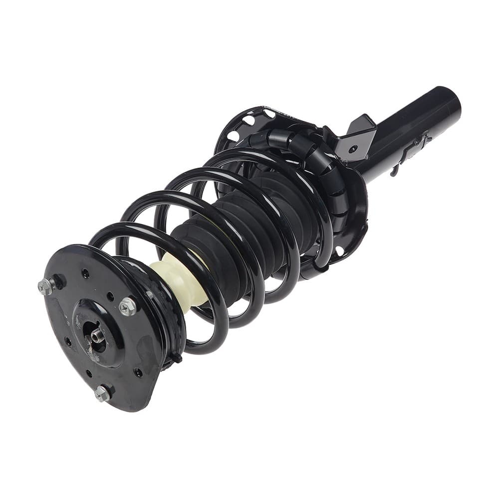 Complete Strut V11494