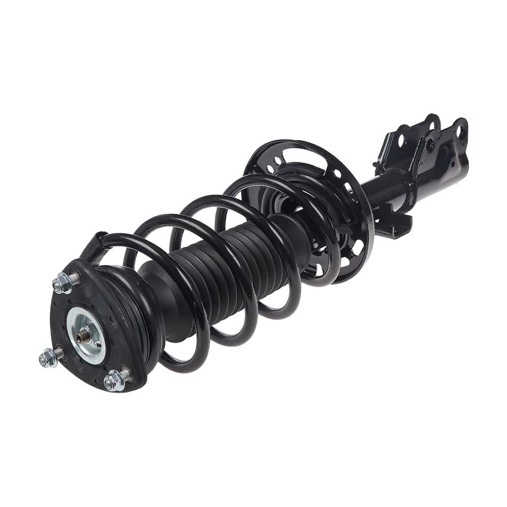 Complete Strut V11698