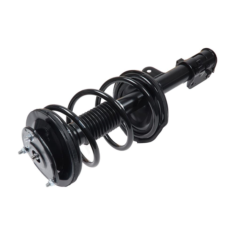 Complete Strut V11724