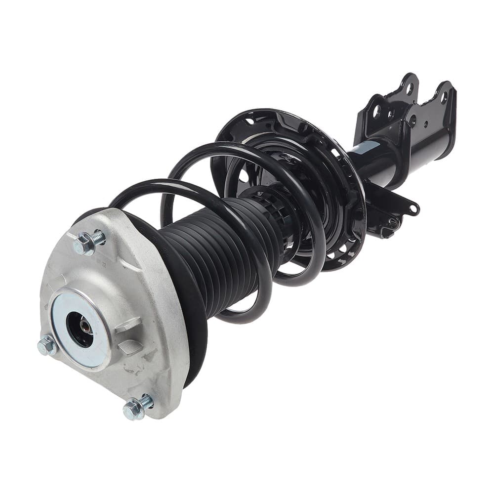 Complete Strut V11757