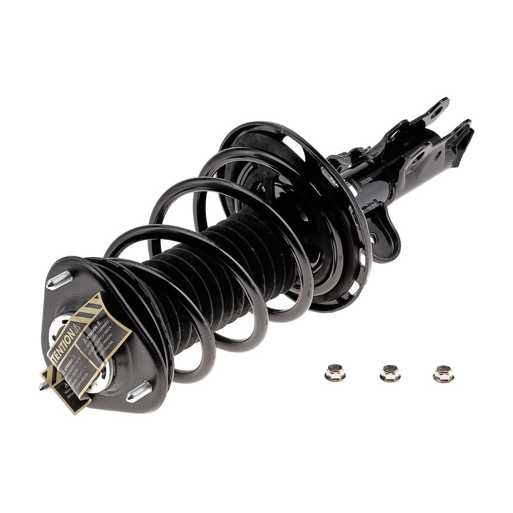 Complete Strut V11804