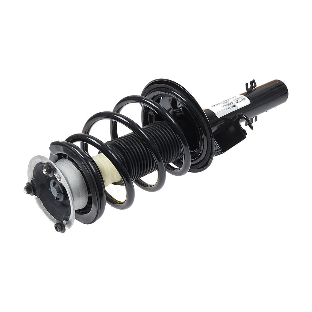 Complete Strut V13222