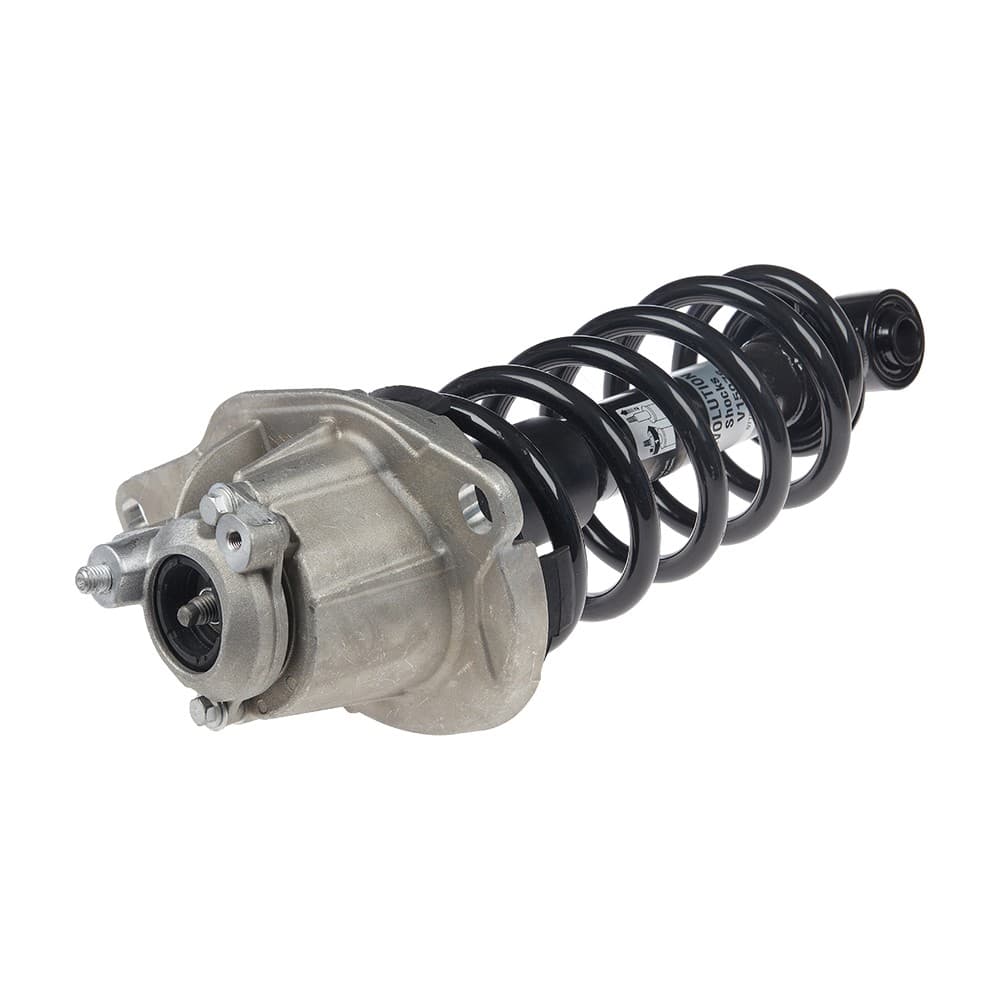 Complete Strut V15076