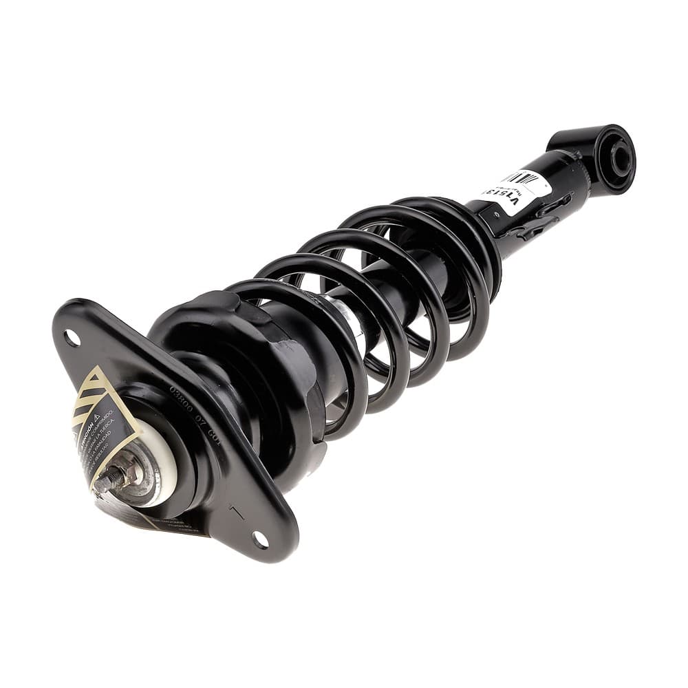 Complete Strut V15131