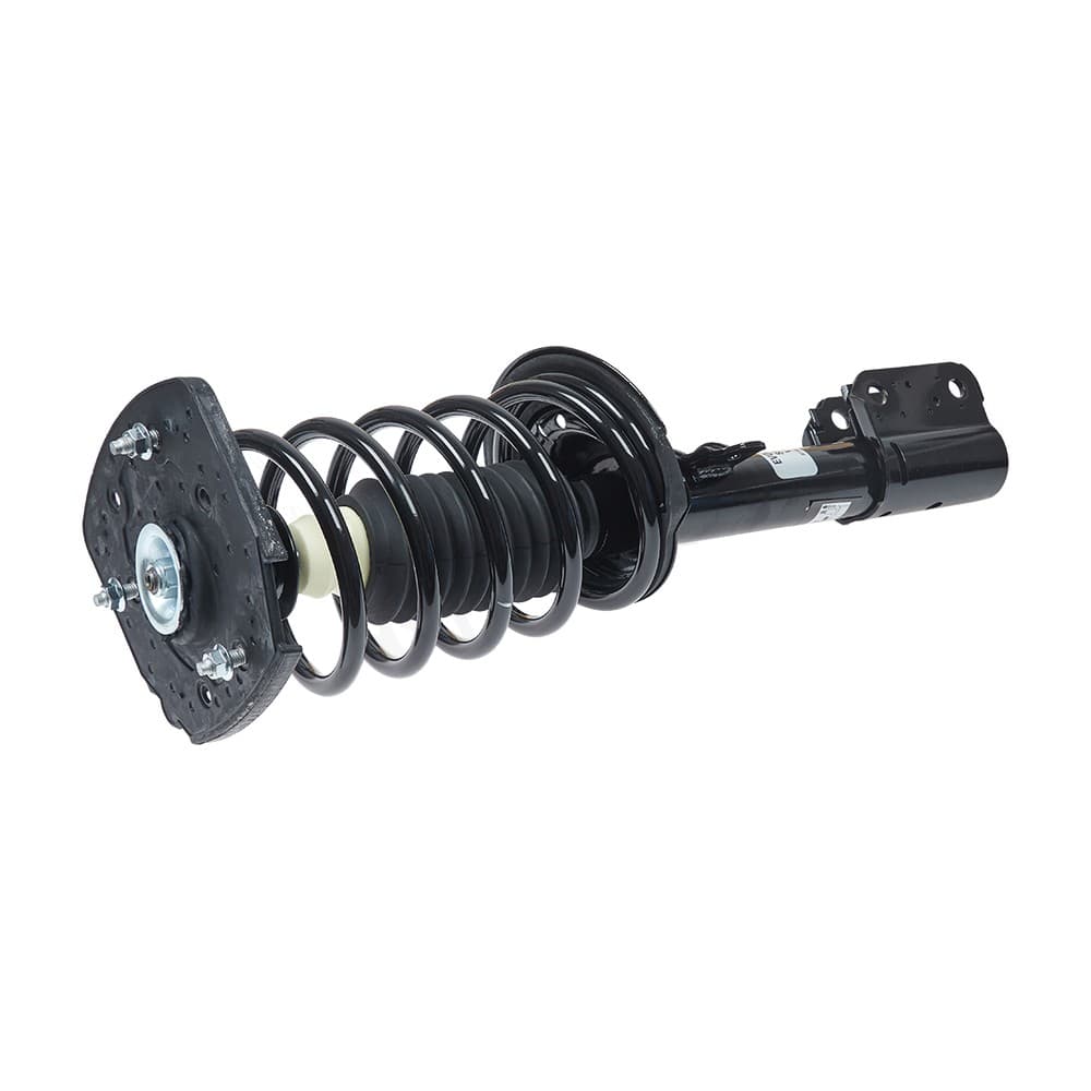 Complete Strut V15313