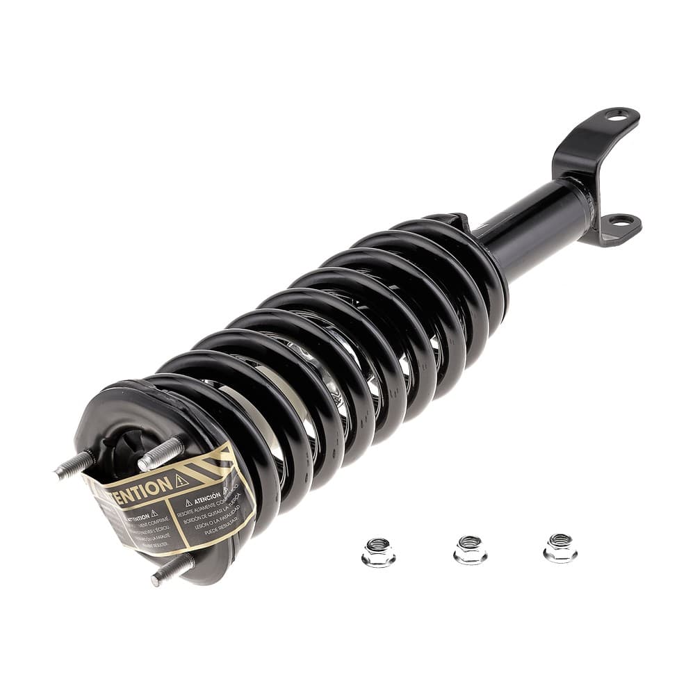 Complete Strut V171100