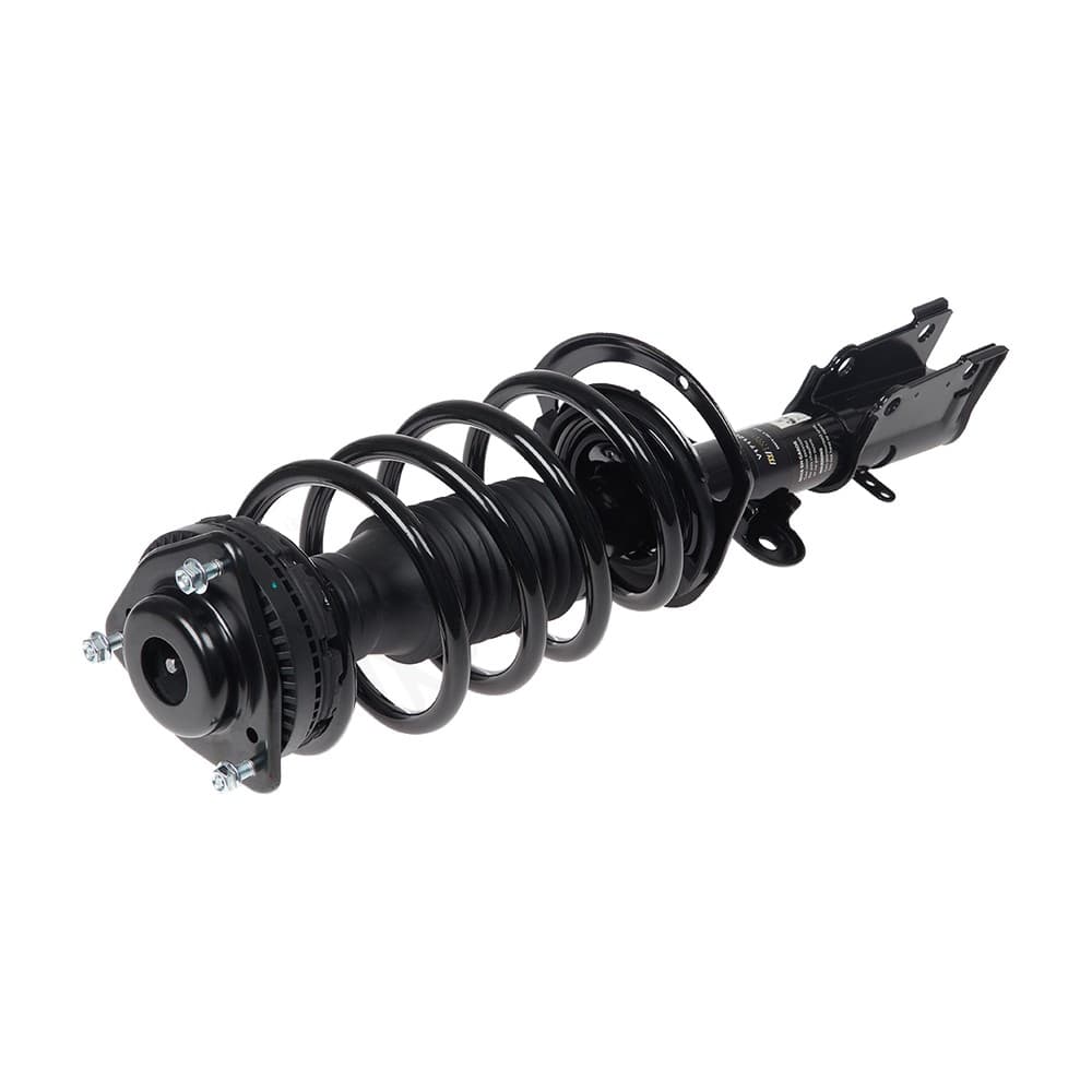 Complete Strut V171128