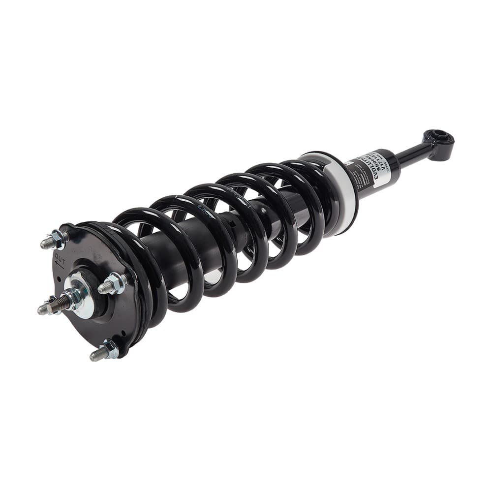 Complete Strut V171137R