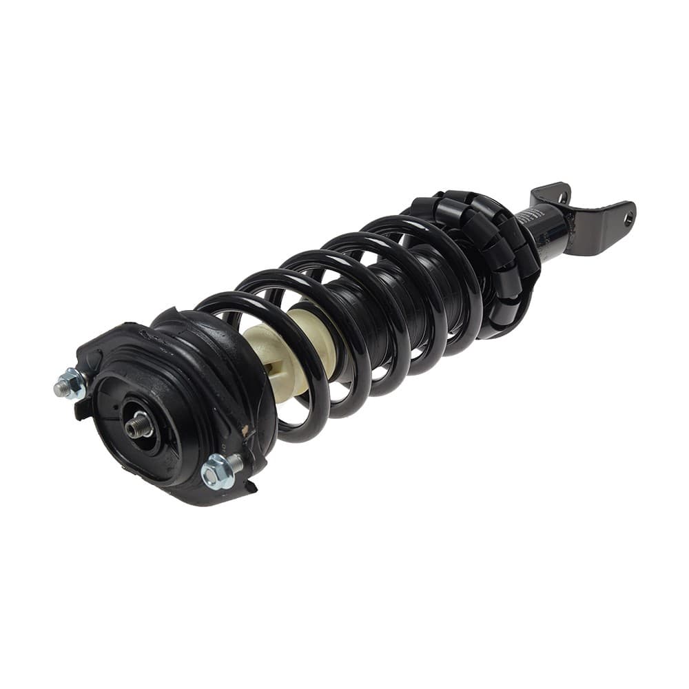 Complete Strut V171148