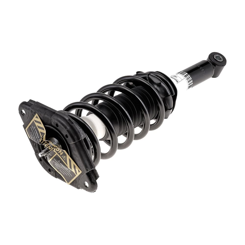 Complete Strut V171312