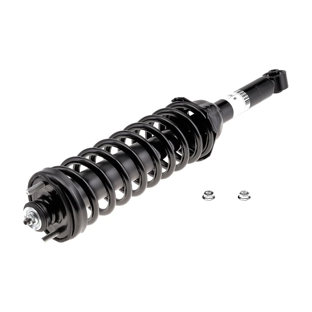 Complete Strut V171325