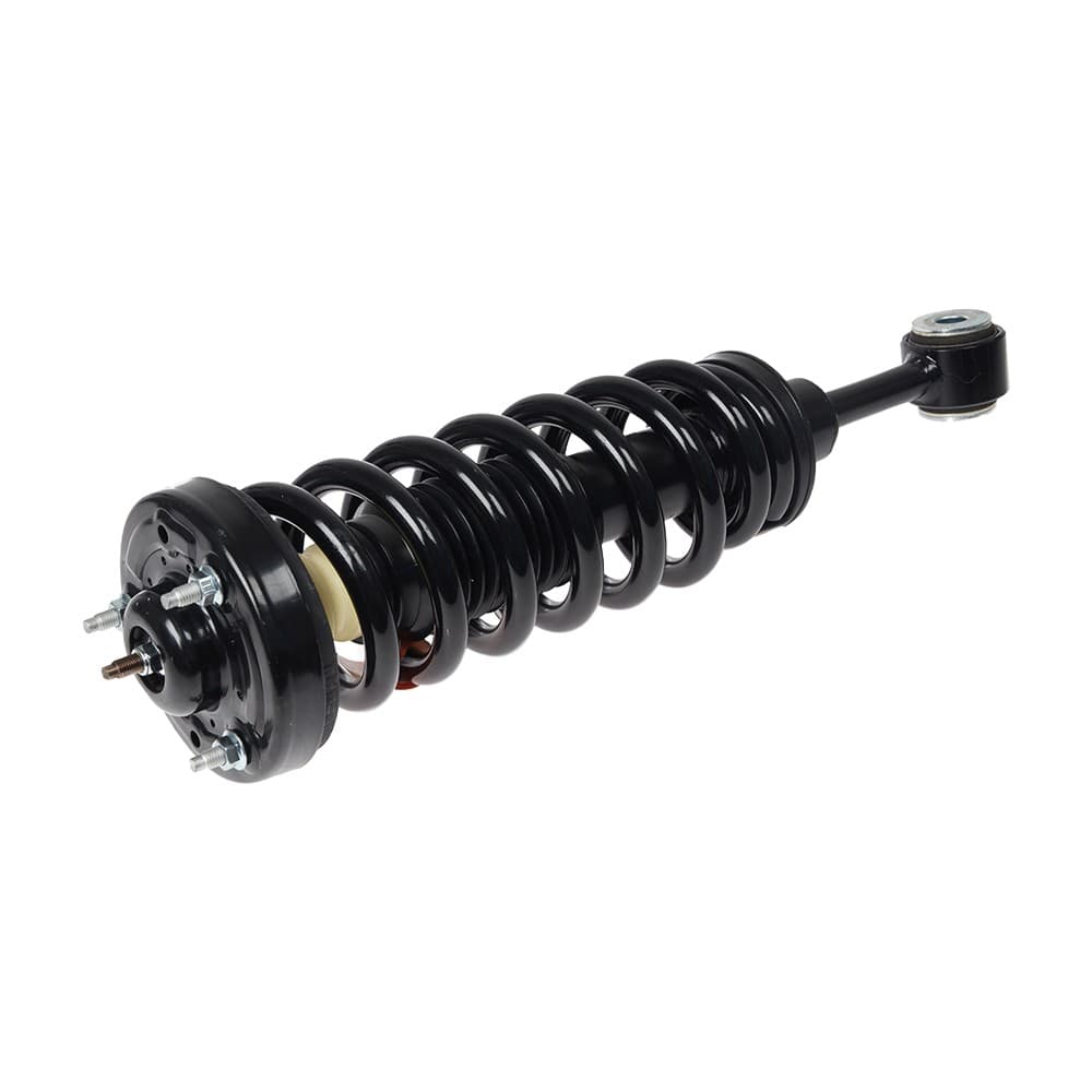 Complete Strut V171361
