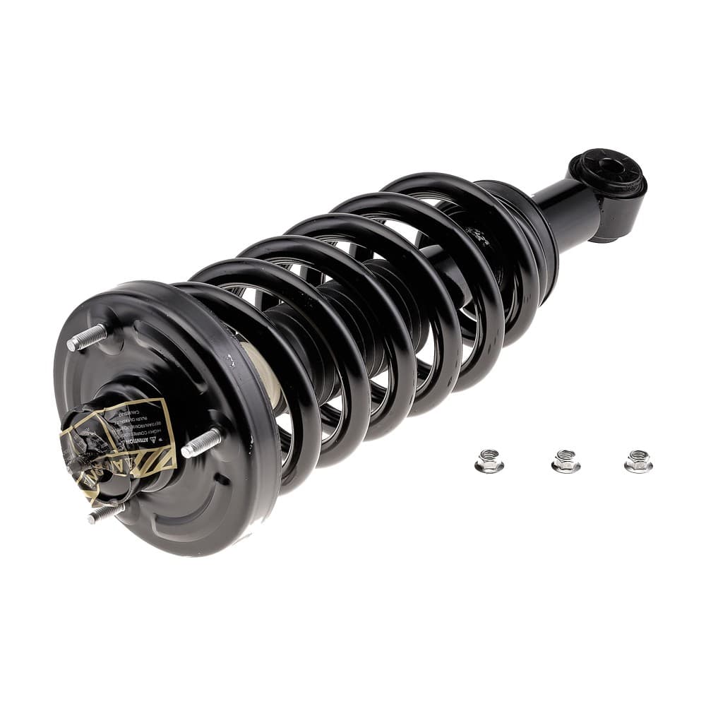 Complete Strut V171370