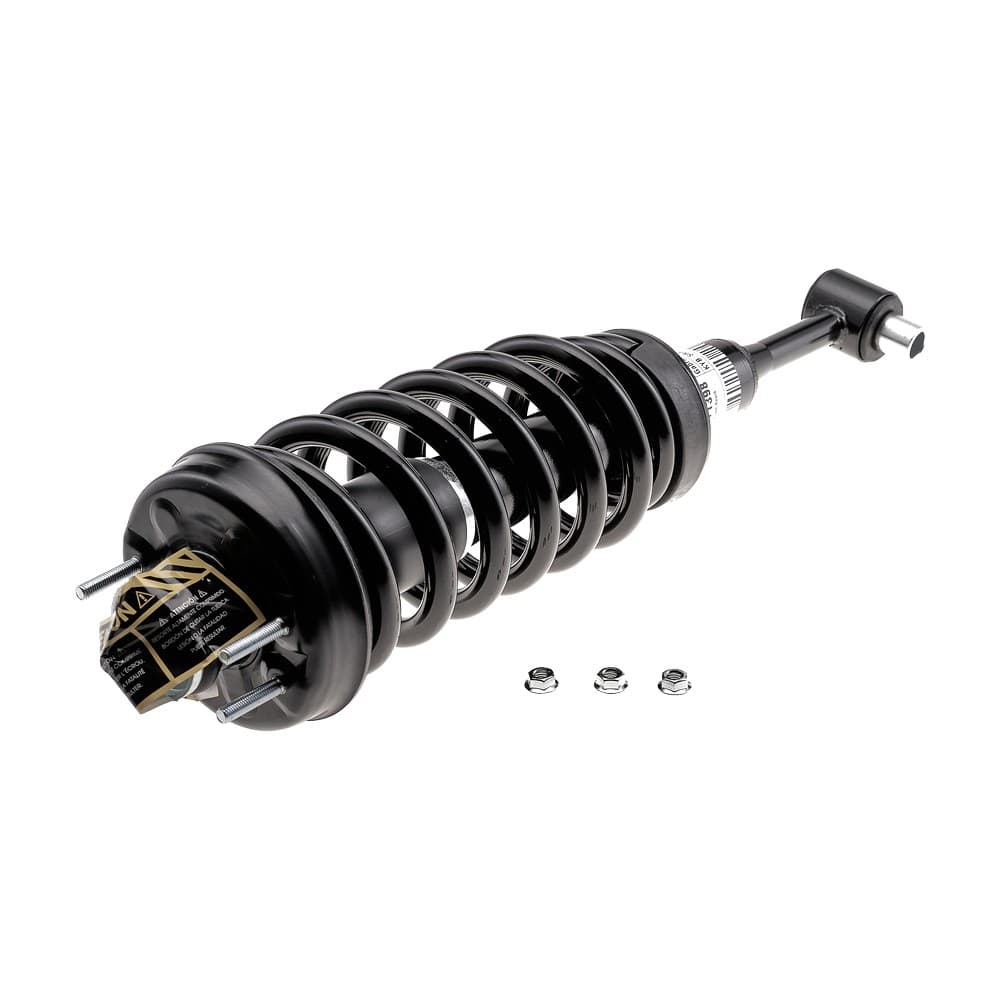 Complete Strut V171398
