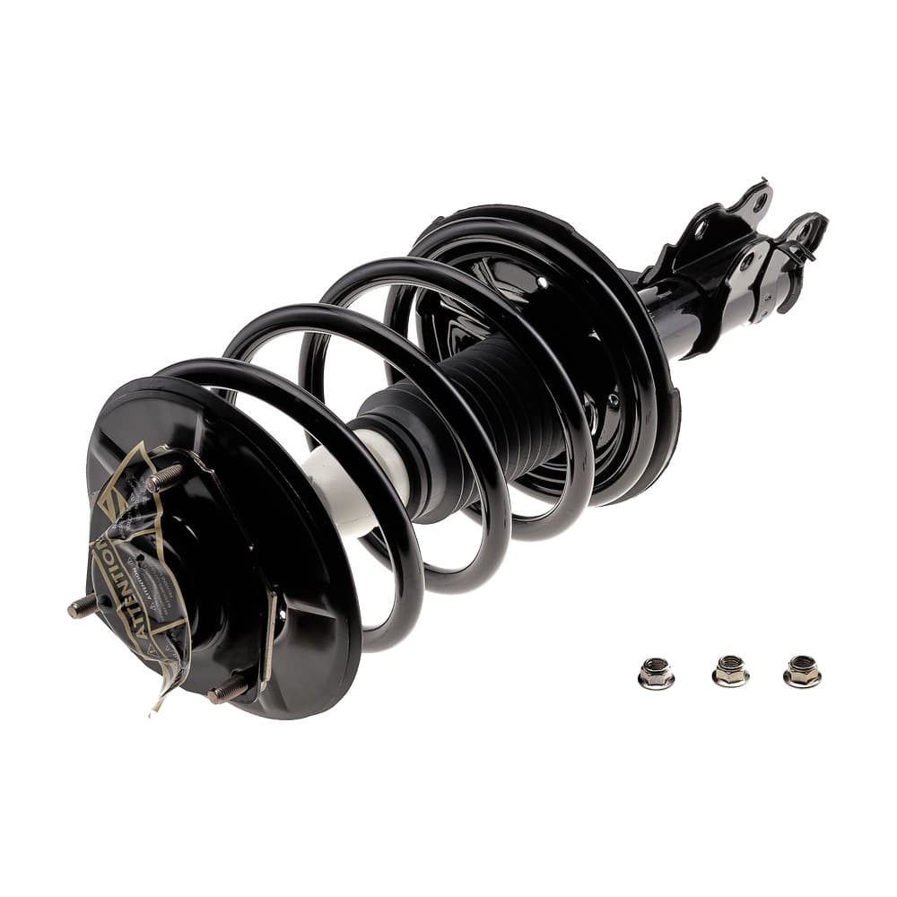 Complete Strut V171426