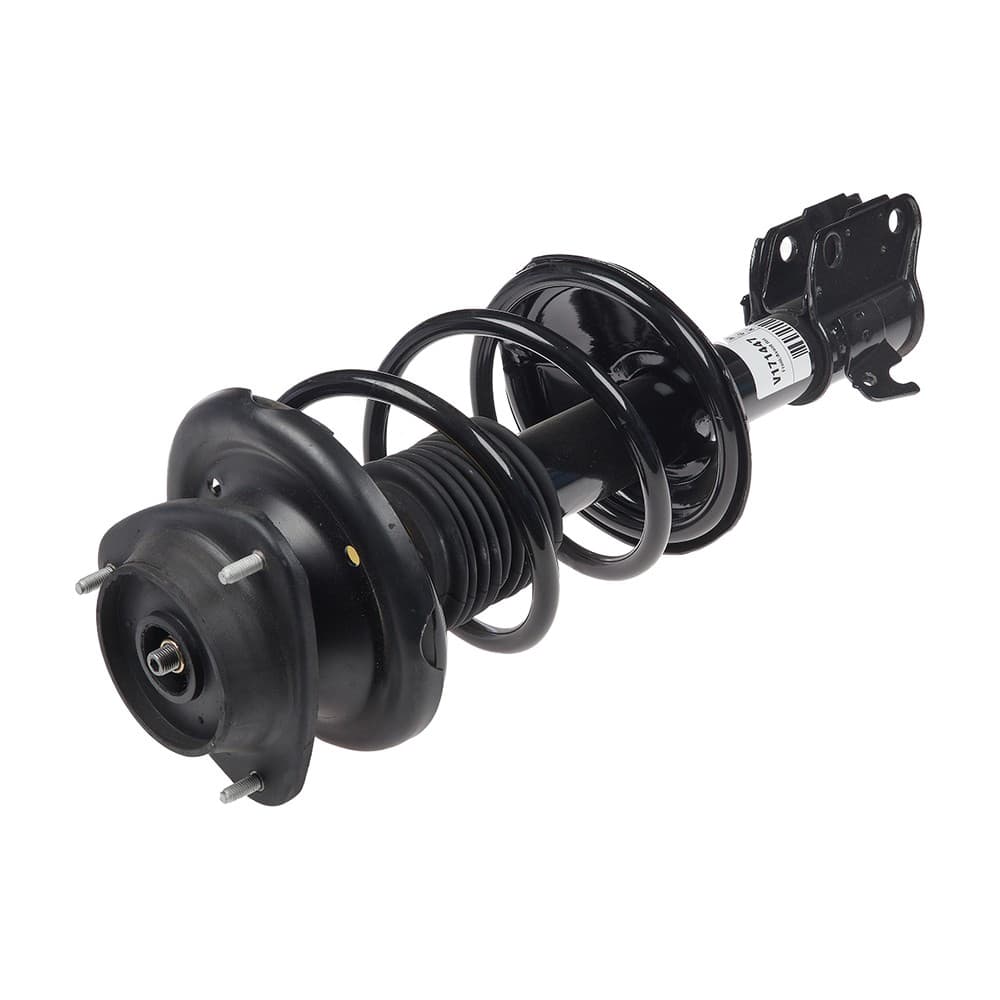 Complete Strut V171447