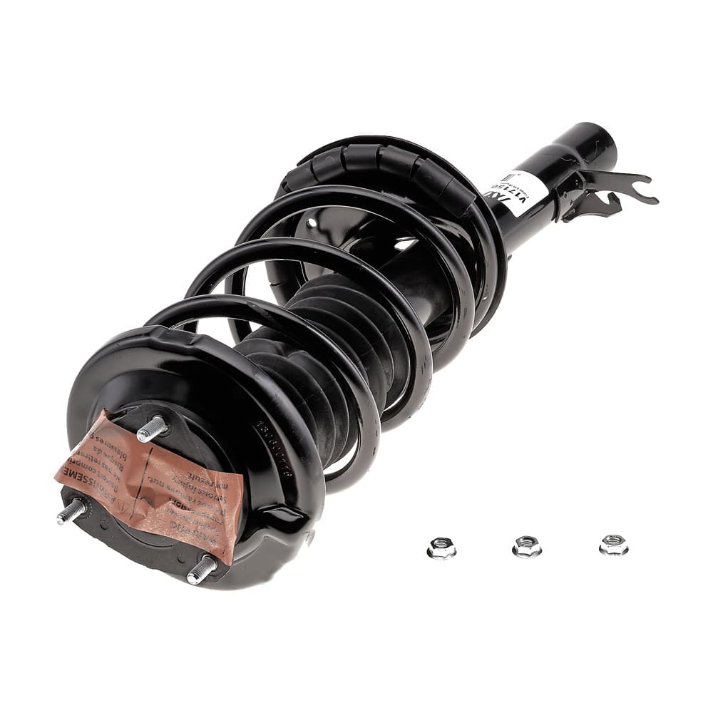 Complete Strut V171505