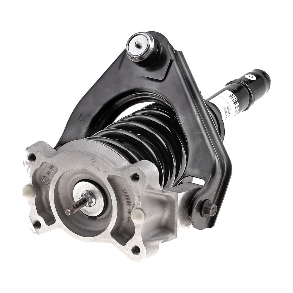 Complete Strut V171565L