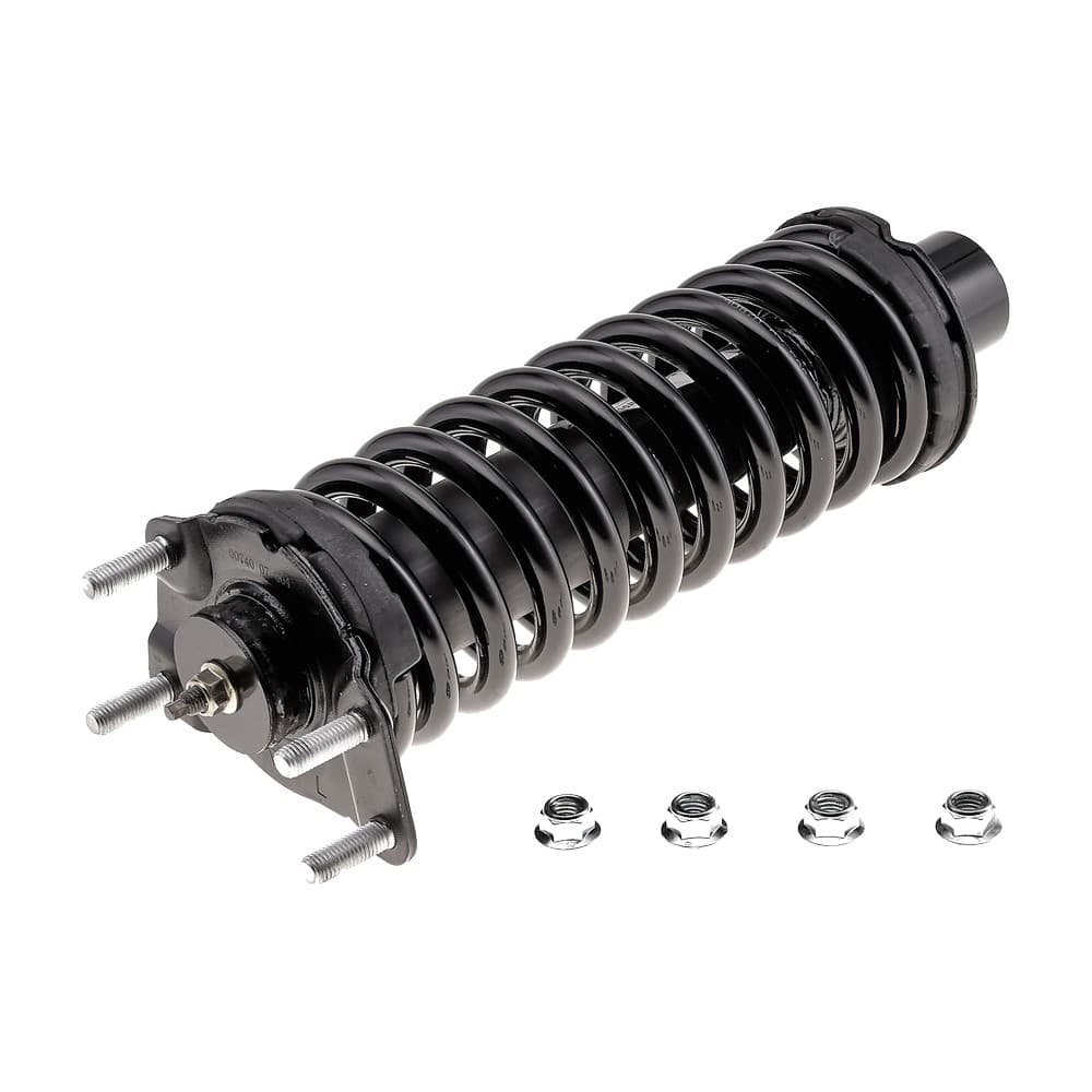 Complete Strut V171577L