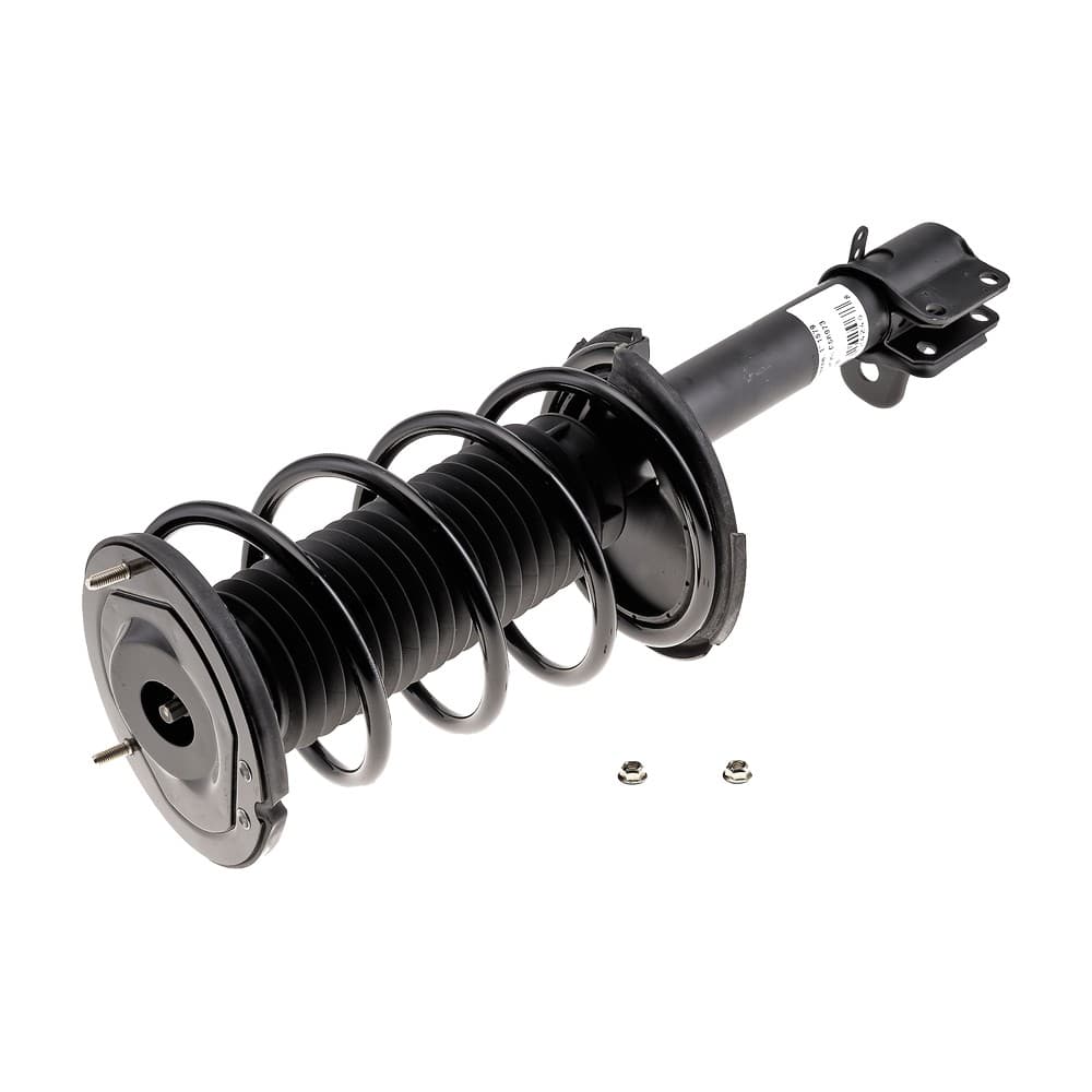 Complete Strut V171579