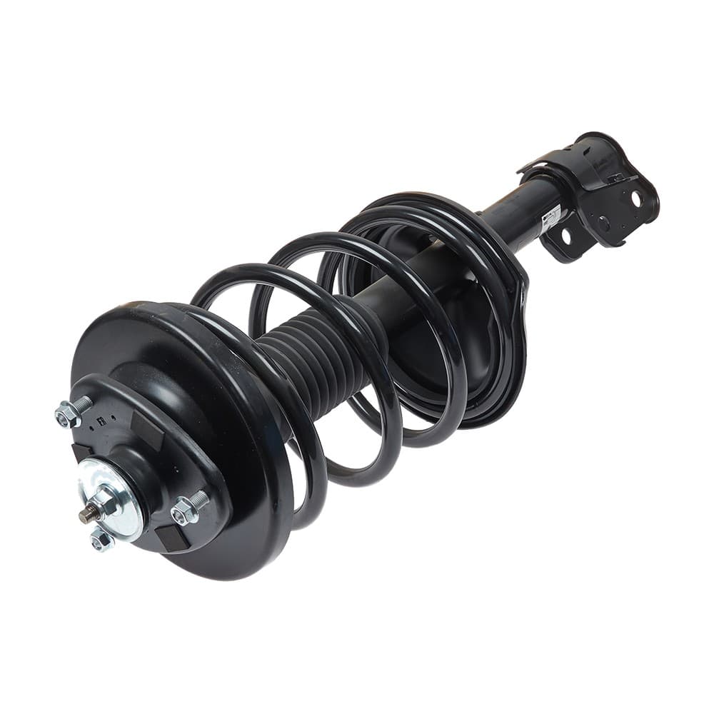 Complete Strut V171597