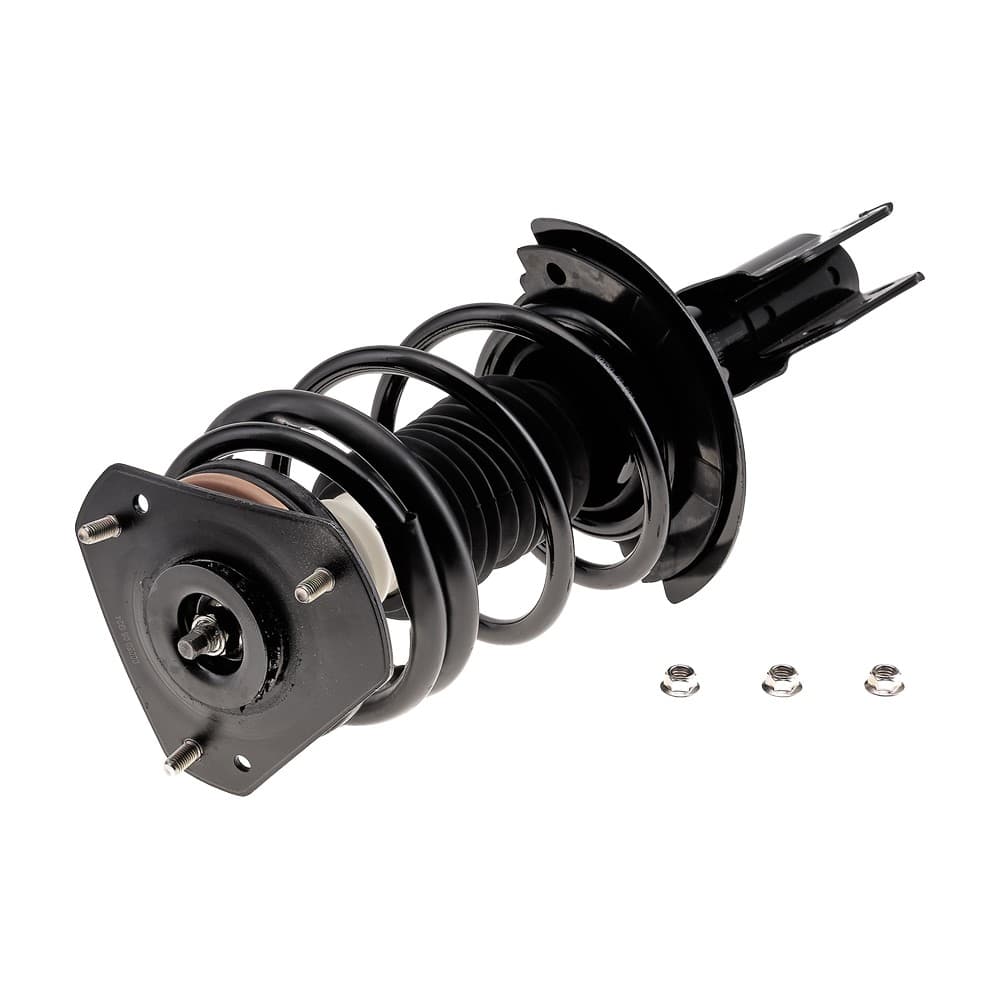 Complete Strut V171661