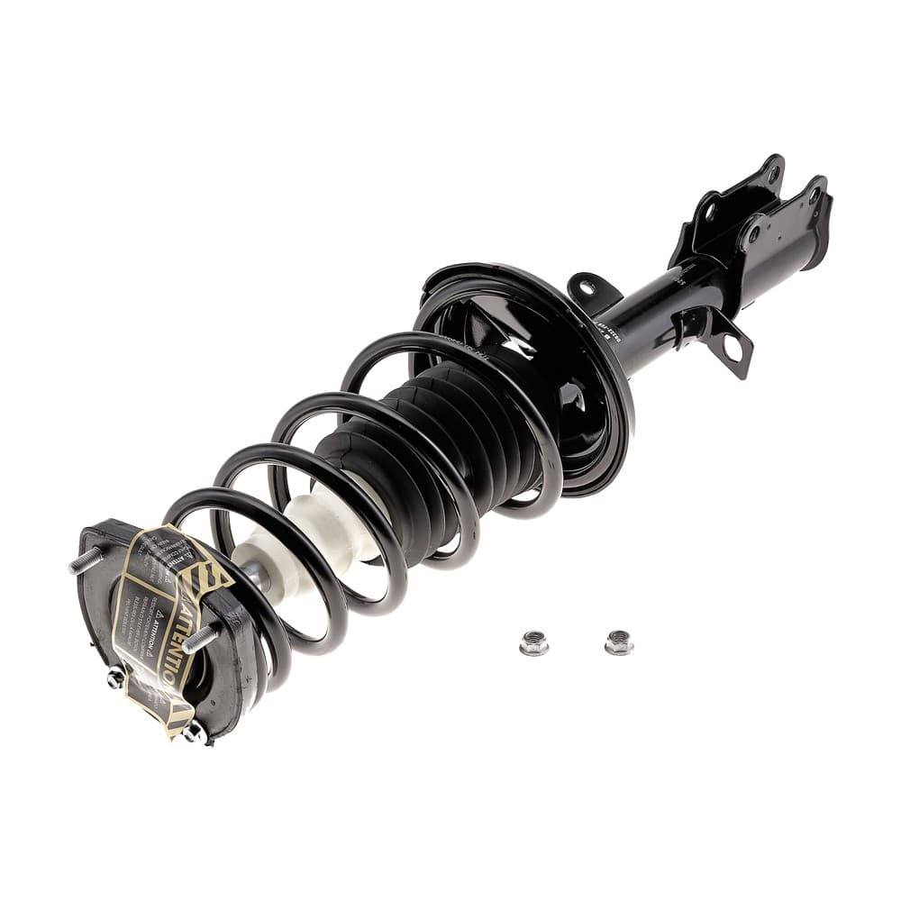 Complete Strut V171954