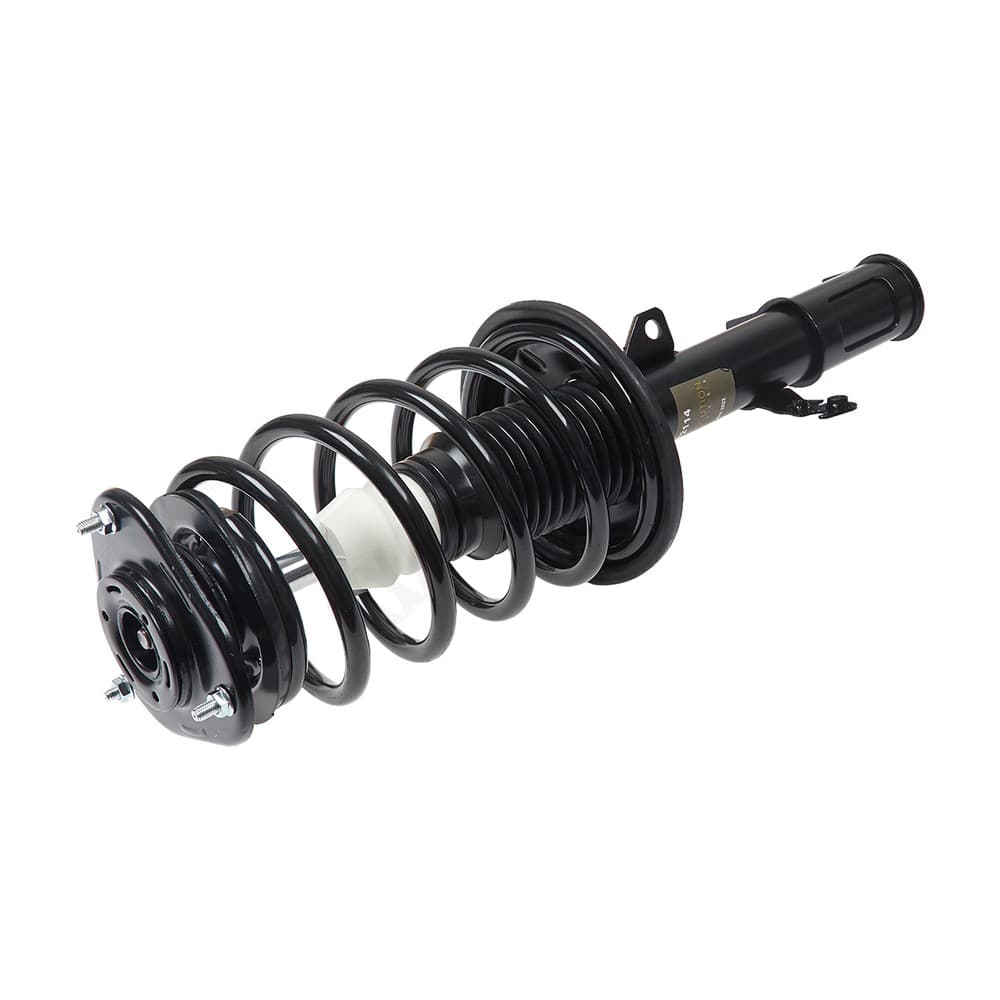 Complete Strut V172114