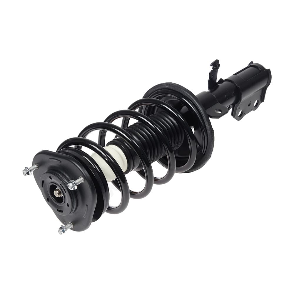 Complete Strut V172117