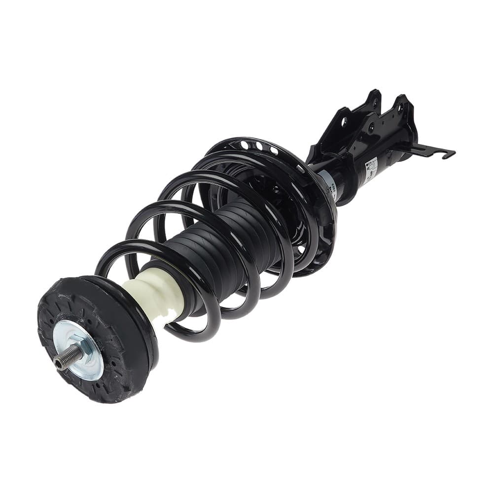Complete Strut V172184