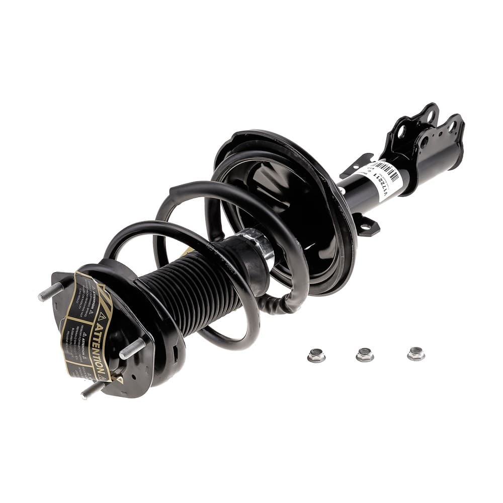 Complete Strut V172211