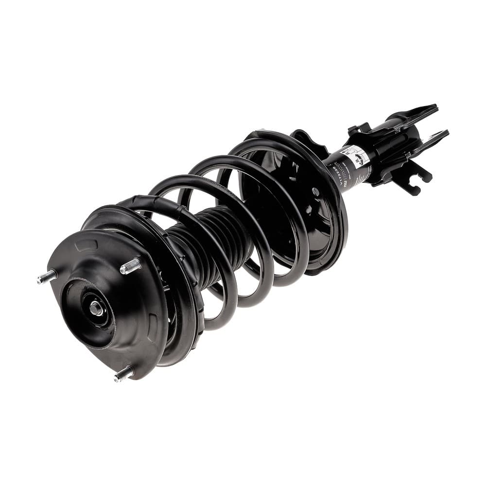 Complete Strut V172220