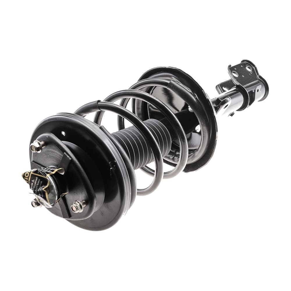 Complete Strut V172229