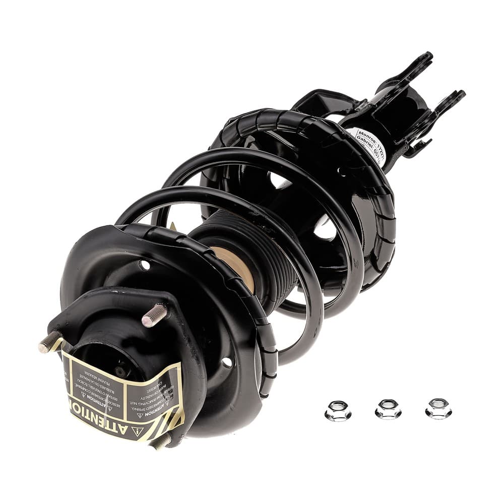 Complete Strut V172271