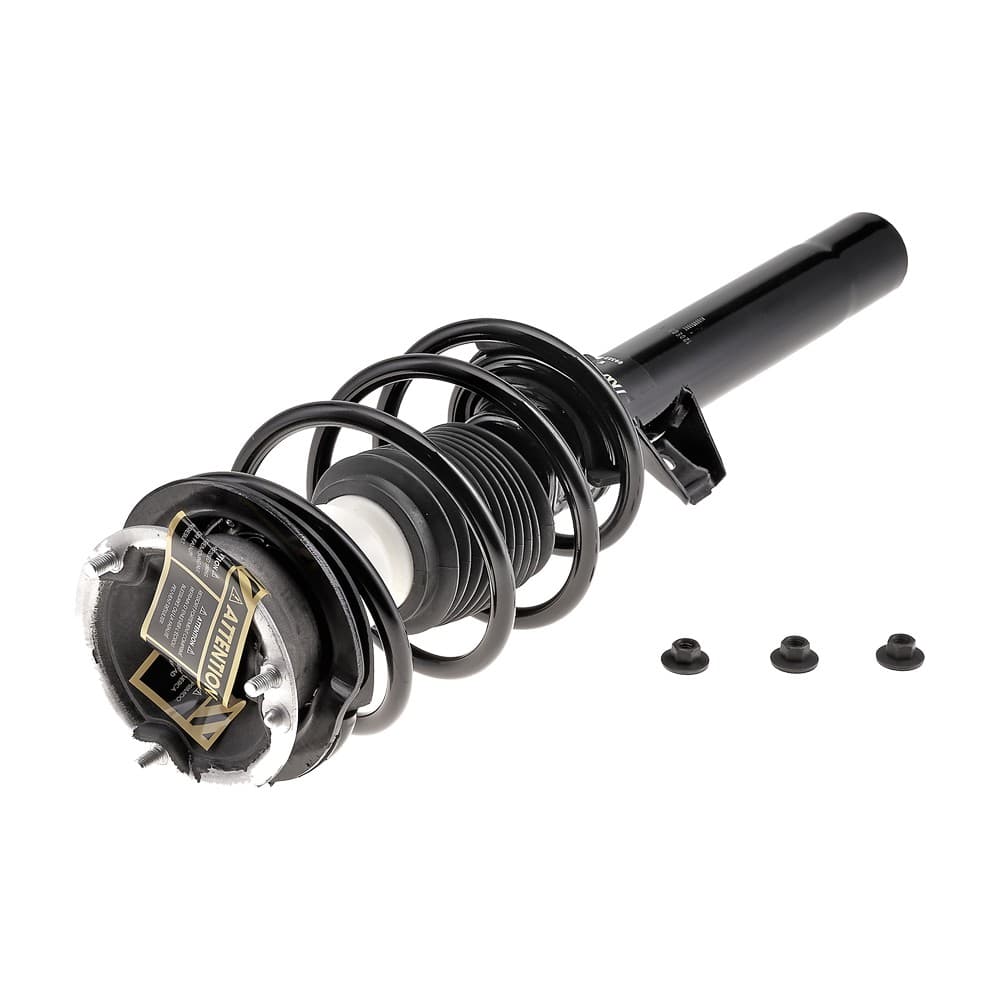 Complete Strut V172313