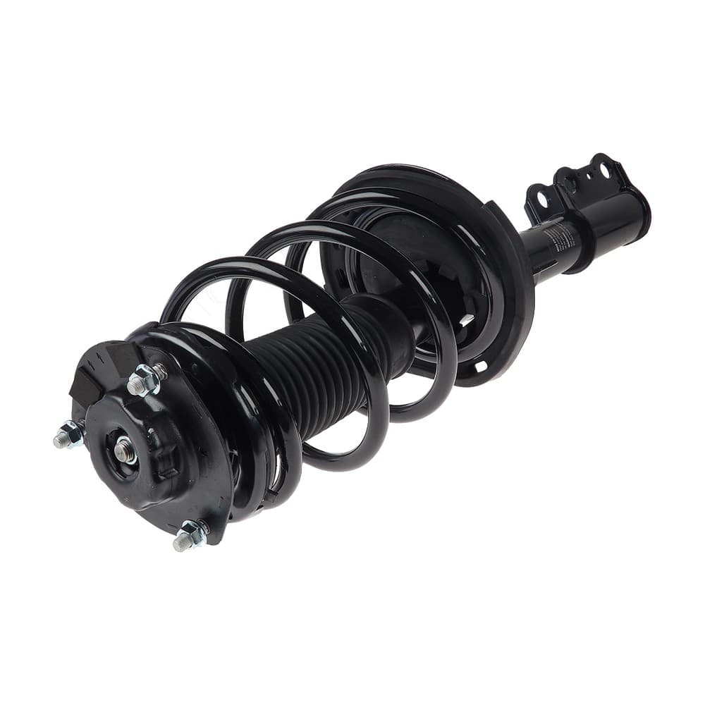 Complete Strut V172365