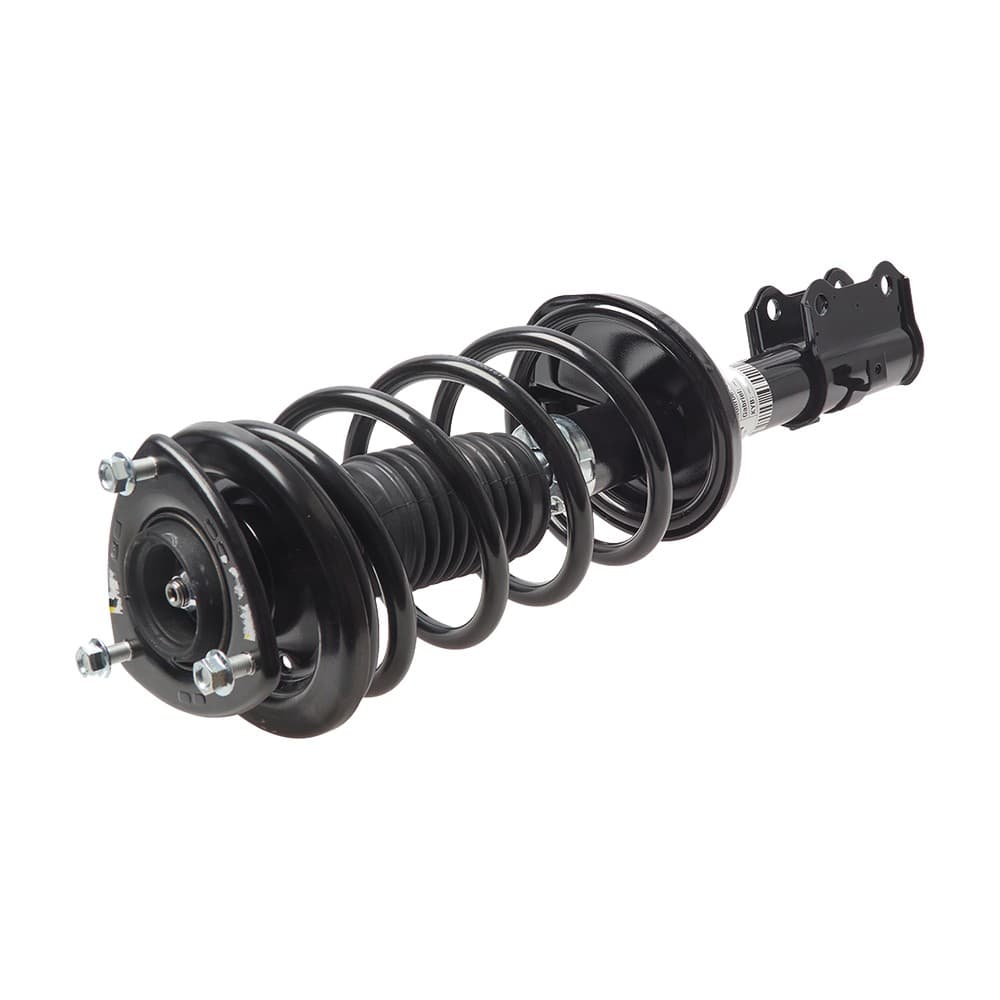 Complete Strut V172424