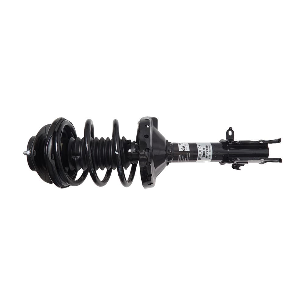 Complete Strut V172429