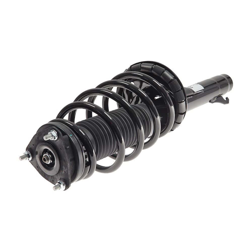 Complete Strut V172479R