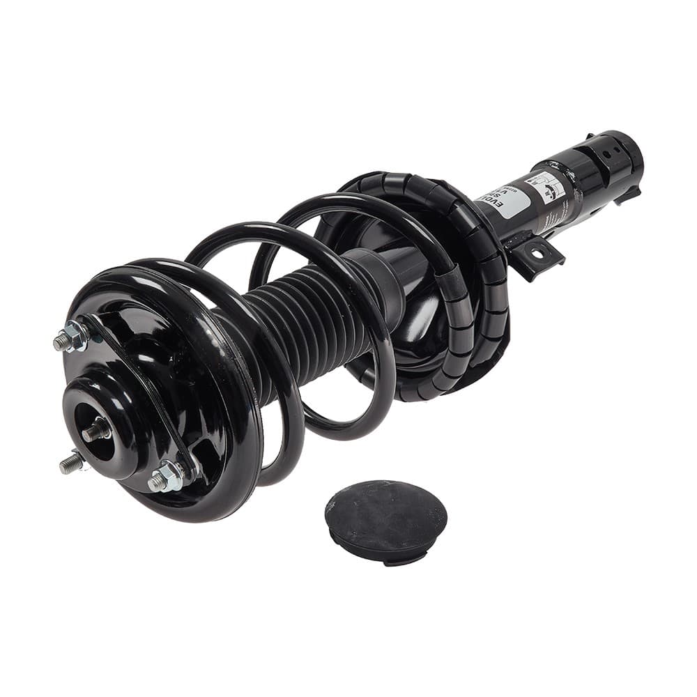 Complete Strut V172505