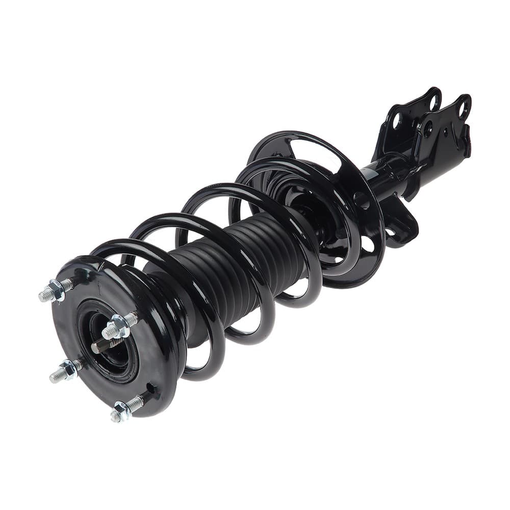 Complete Strut V172654