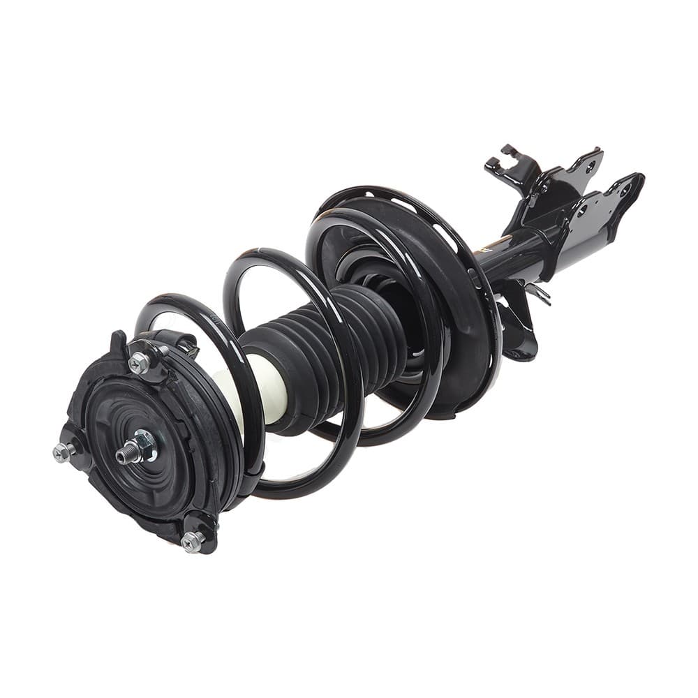 Complete Strut V172936