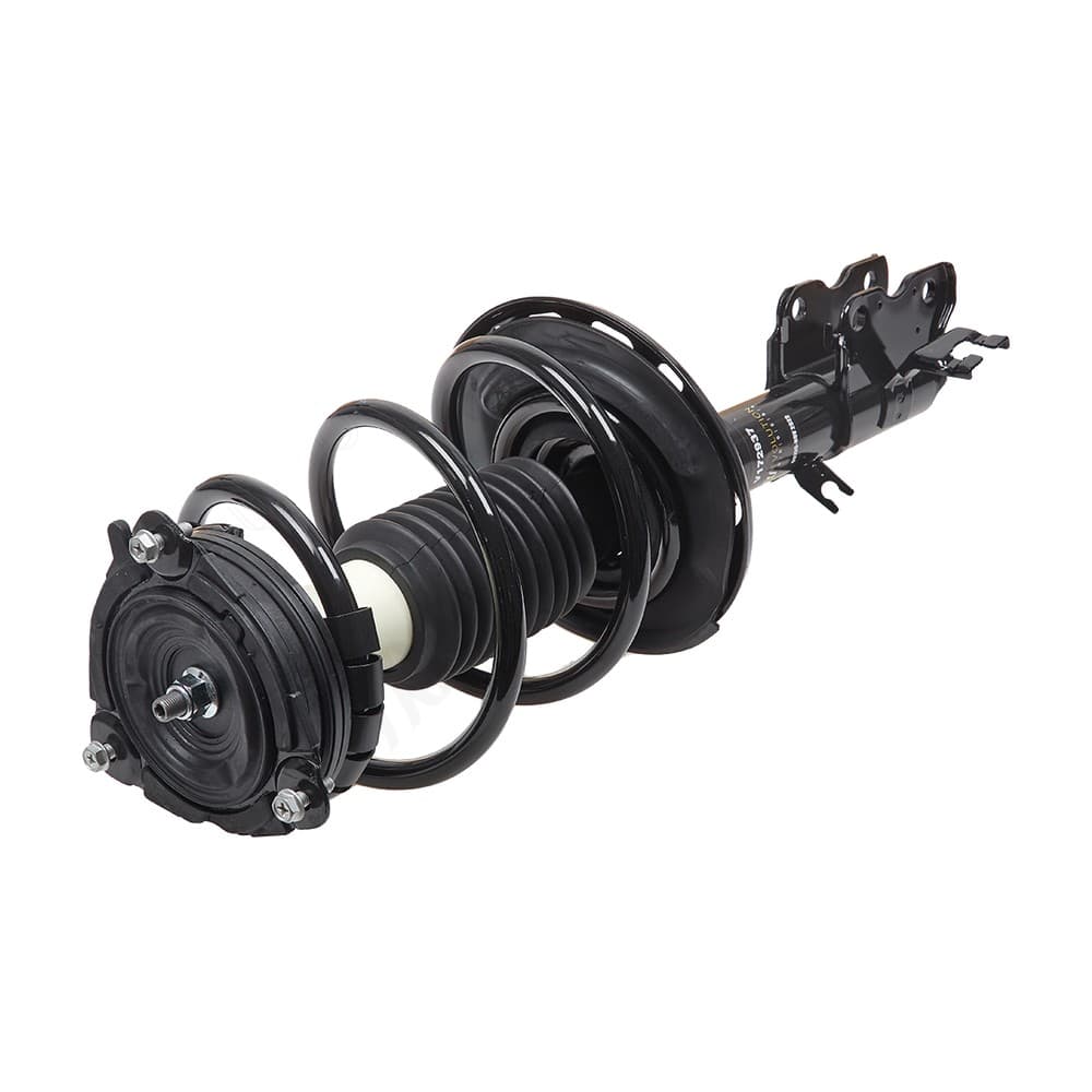 Complete Strut V172937