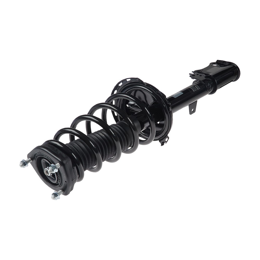 Complete Strut V172967
