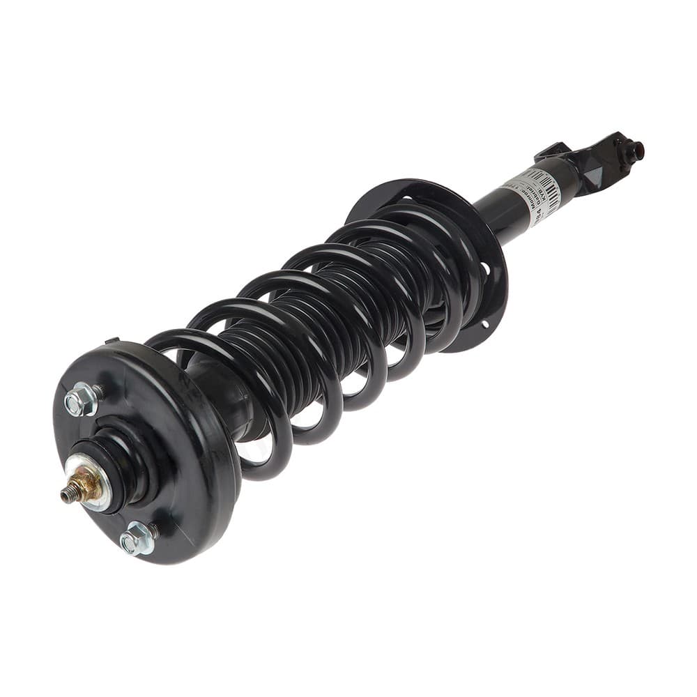 Complete Strut V172984