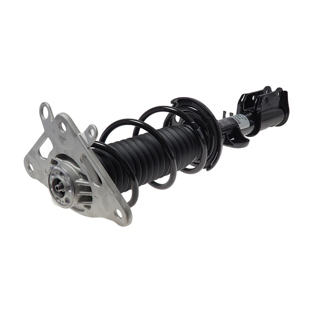 Complete Strut V173027