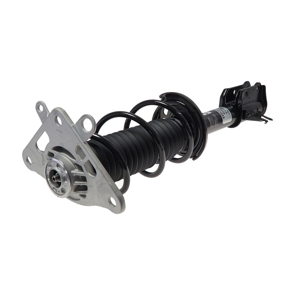 Complete Strut V173028