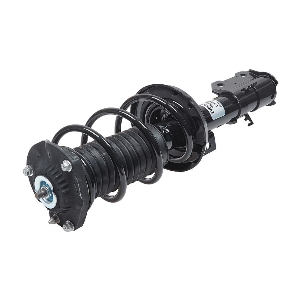 Complete Strut V173063