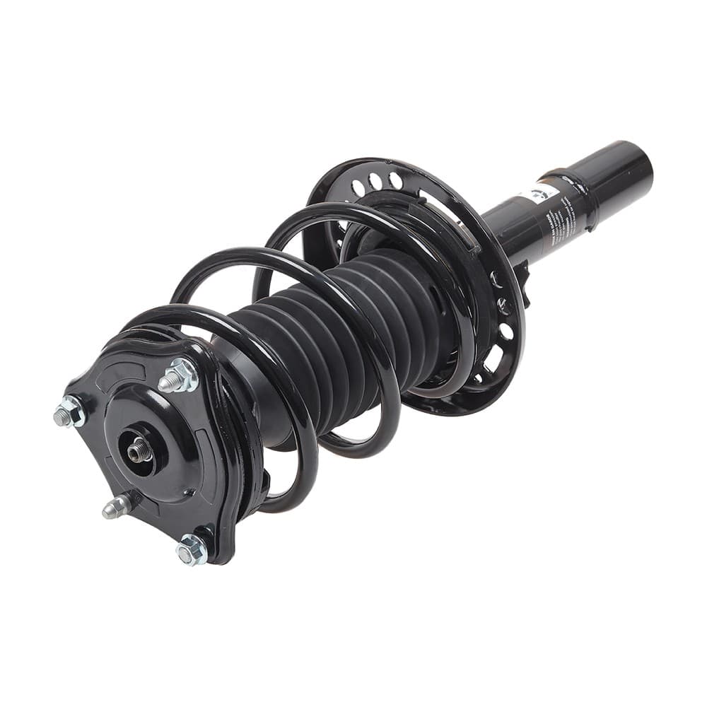 Complete Strut V173081L